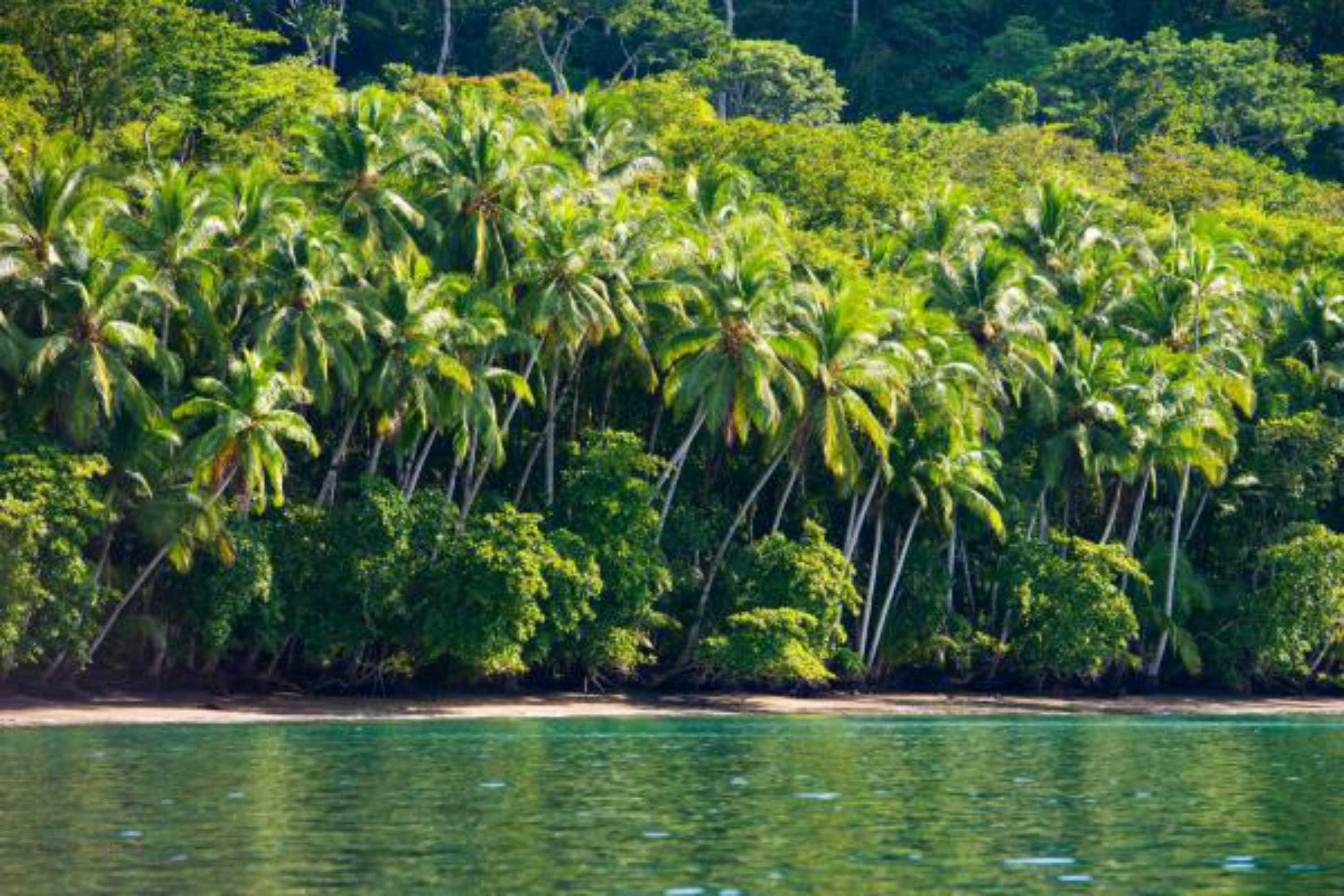 Playa Nicuesa Rainforest Eco Sanctuary Golfito Exterior photo