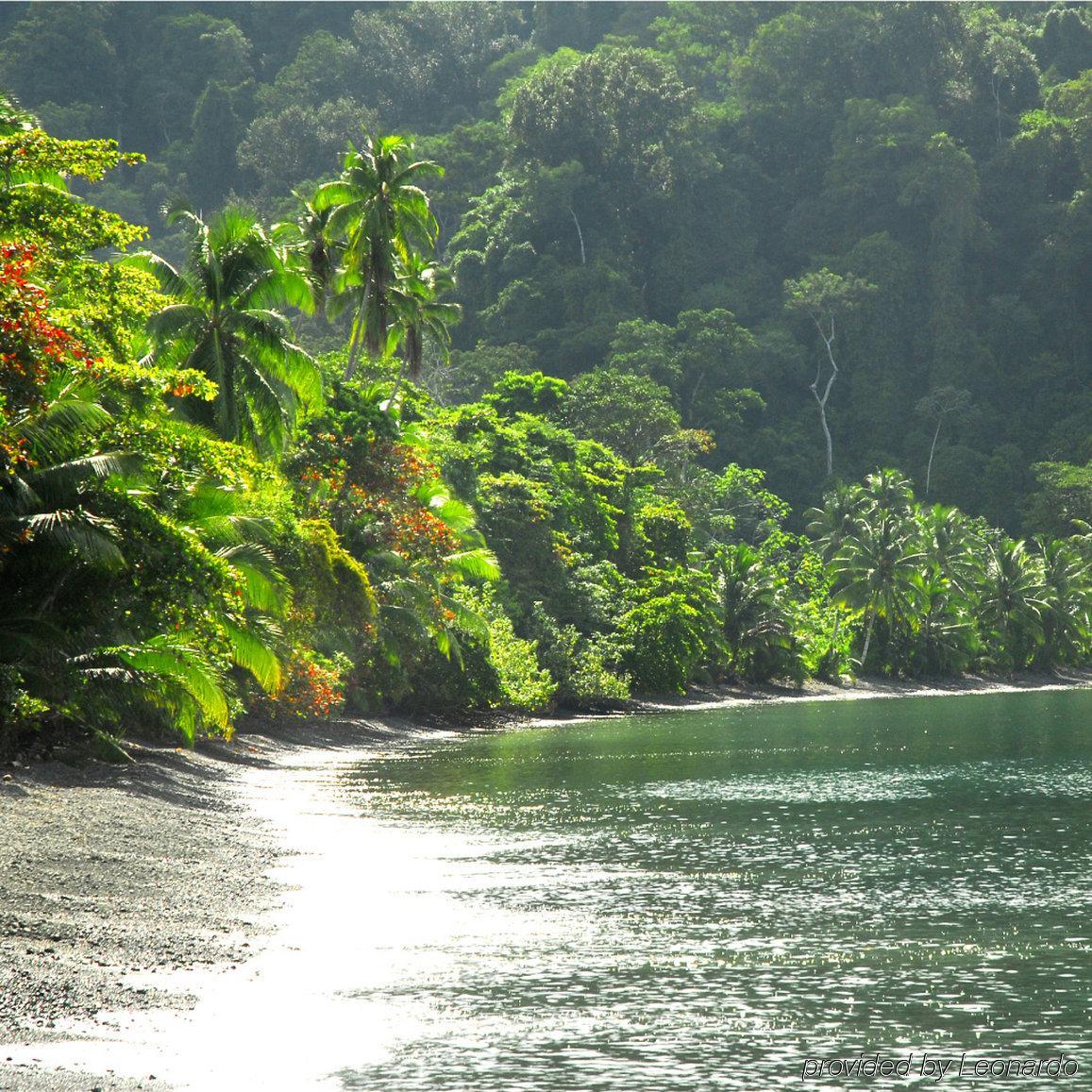 Playa Nicuesa Rainforest Eco Sanctuary Golfito Exterior photo