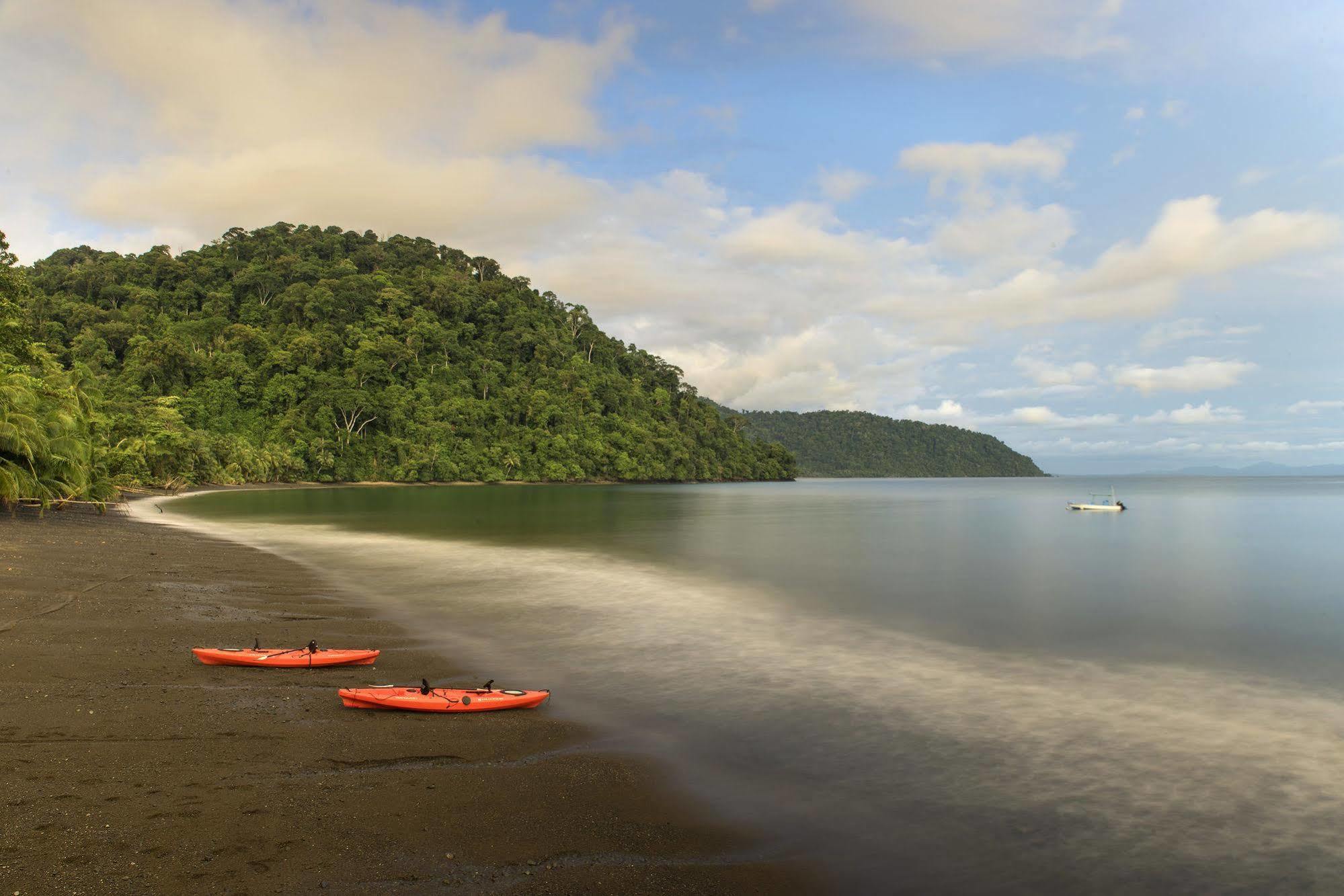 Playa Nicuesa Rainforest Eco Sanctuary Golfito Exterior photo