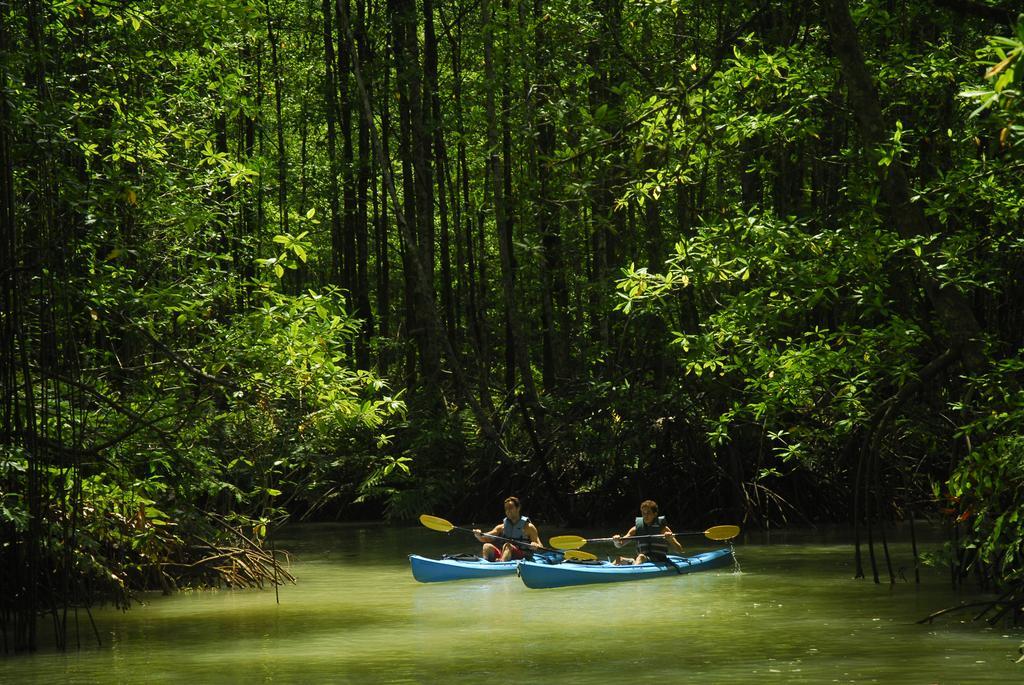 Playa Nicuesa Rainforest Eco Sanctuary Golfito Exterior photo
